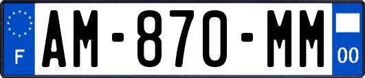 AM-870-MM