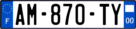 AM-870-TY