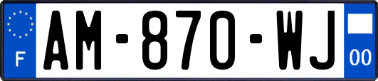 AM-870-WJ