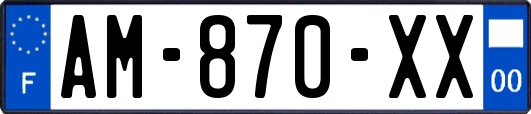 AM-870-XX