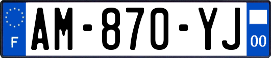 AM-870-YJ