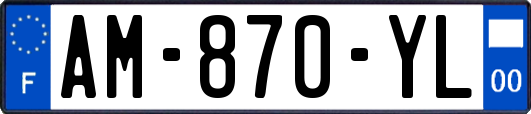 AM-870-YL