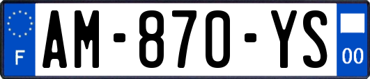 AM-870-YS