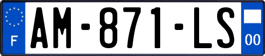 AM-871-LS