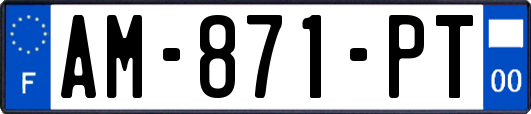 AM-871-PT