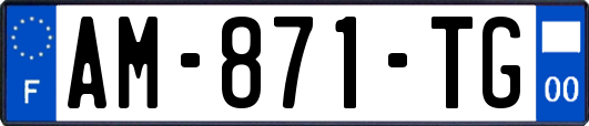 AM-871-TG