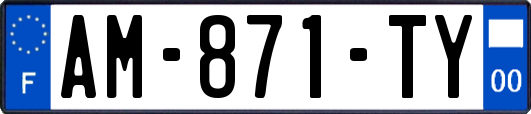AM-871-TY