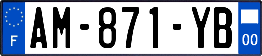 AM-871-YB