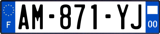 AM-871-YJ