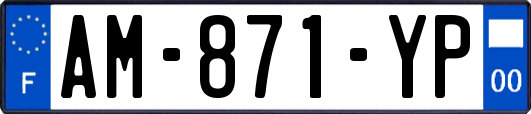 AM-871-YP