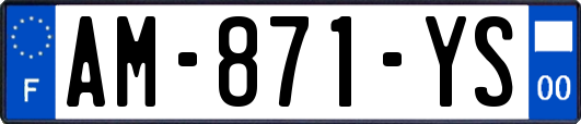 AM-871-YS