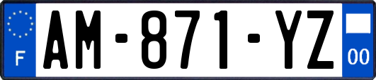AM-871-YZ