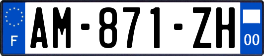 AM-871-ZH