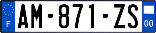 AM-871-ZS