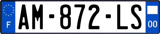 AM-872-LS