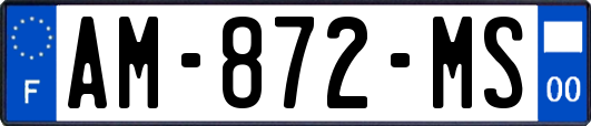AM-872-MS