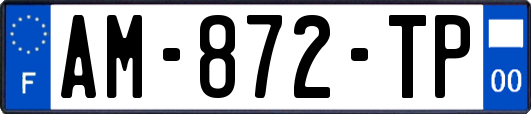 AM-872-TP