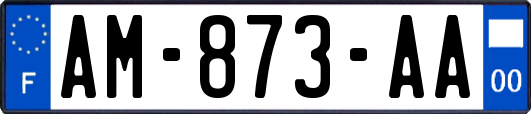 AM-873-AA