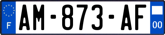 AM-873-AF