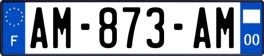 AM-873-AM