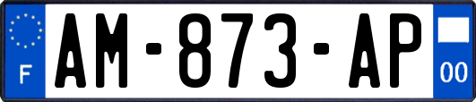 AM-873-AP