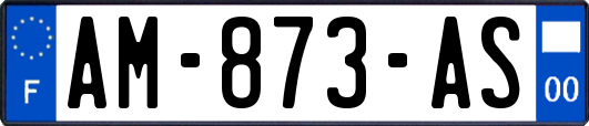 AM-873-AS