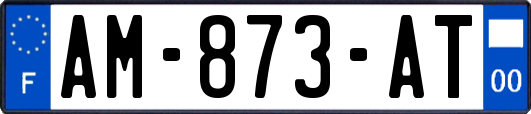 AM-873-AT