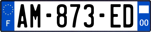 AM-873-ED