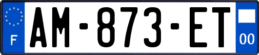 AM-873-ET