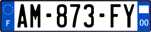 AM-873-FY