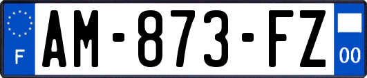 AM-873-FZ