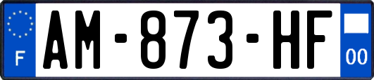 AM-873-HF