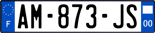 AM-873-JS