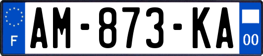 AM-873-KA