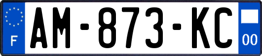 AM-873-KC