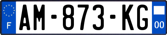 AM-873-KG