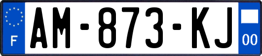 AM-873-KJ