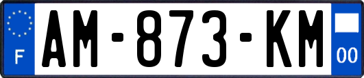 AM-873-KM