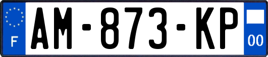 AM-873-KP
