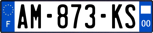 AM-873-KS