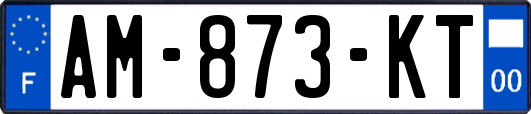 AM-873-KT