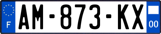 AM-873-KX