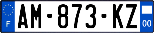 AM-873-KZ