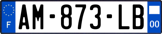 AM-873-LB