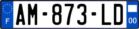 AM-873-LD