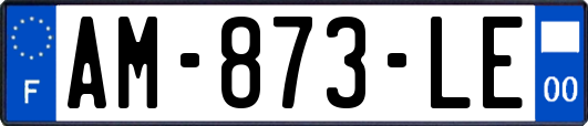 AM-873-LE