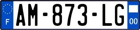 AM-873-LG