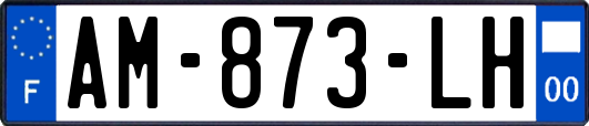 AM-873-LH