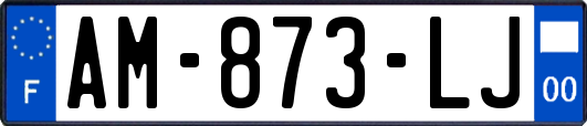 AM-873-LJ