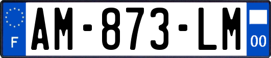AM-873-LM